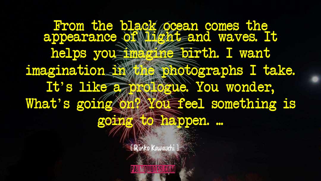 Charge Of The Light Brigade quotes by Rinko Kawauchi
