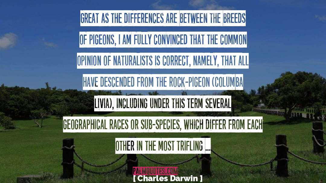 Charles The First quotes by Charles Darwin