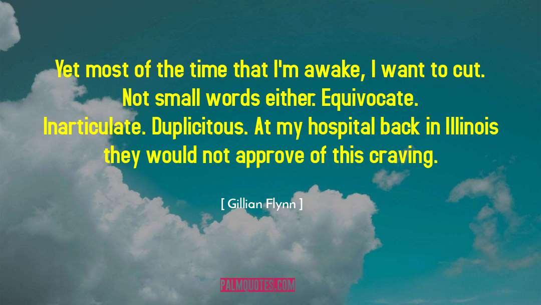 Charleston Illinois quotes by Gillian Flynn