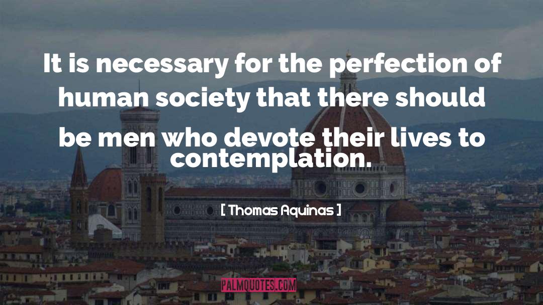 Charming Men quotes by Thomas Aquinas