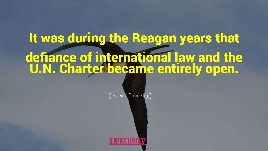 Charter quotes by Noam Chomsky