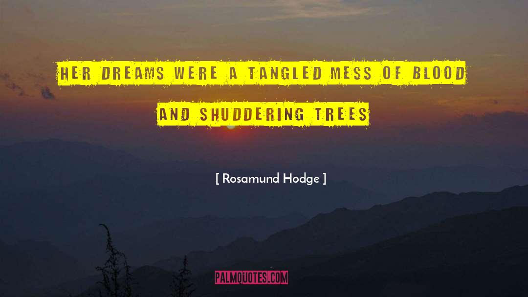 Chase Dreams quotes by Rosamund Hodge