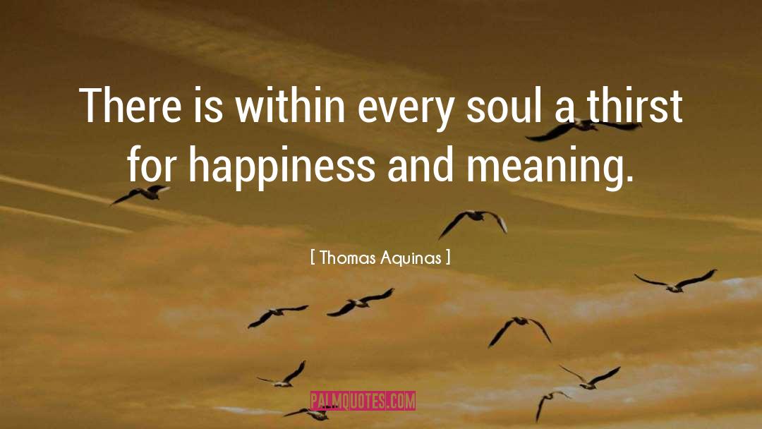 Chase Happiness quotes by Thomas Aquinas