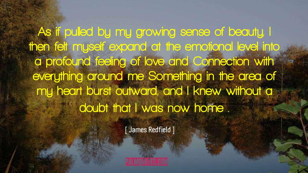 Chase Of Love quotes by James Redfield