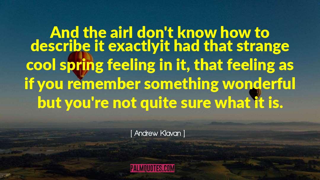 Chase That Feeling quotes by Andrew Klavan