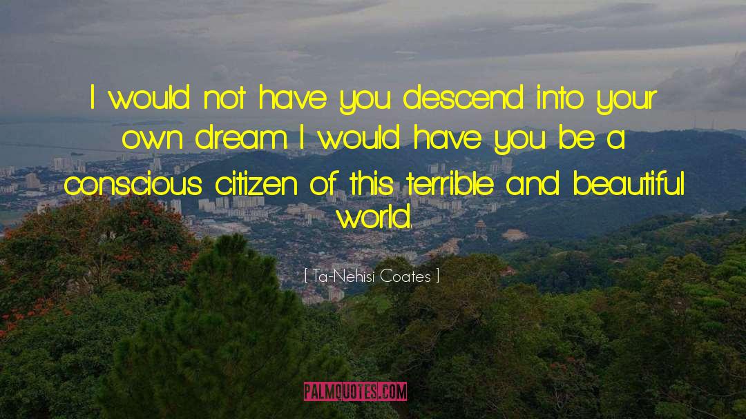 Chase Your Dream quotes by Ta-Nehisi Coates