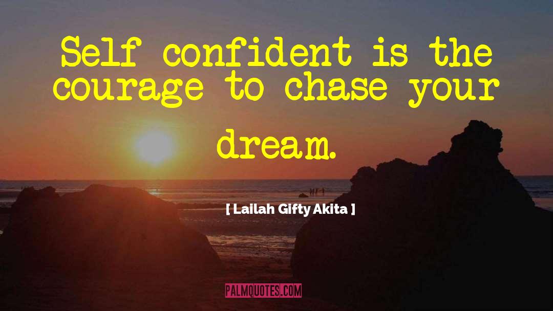 Chase Your Dream quotes by Lailah Gifty Akita