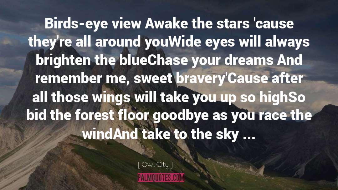 Chase Your Dreams quotes by Owl City