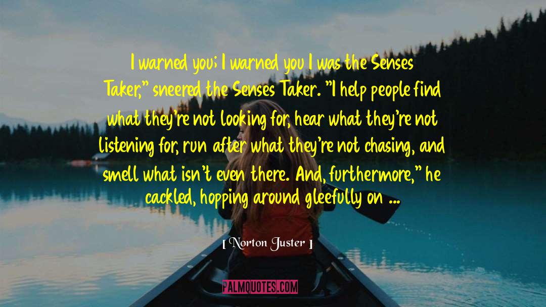 Chasing After What You Want quotes by Norton Juster
