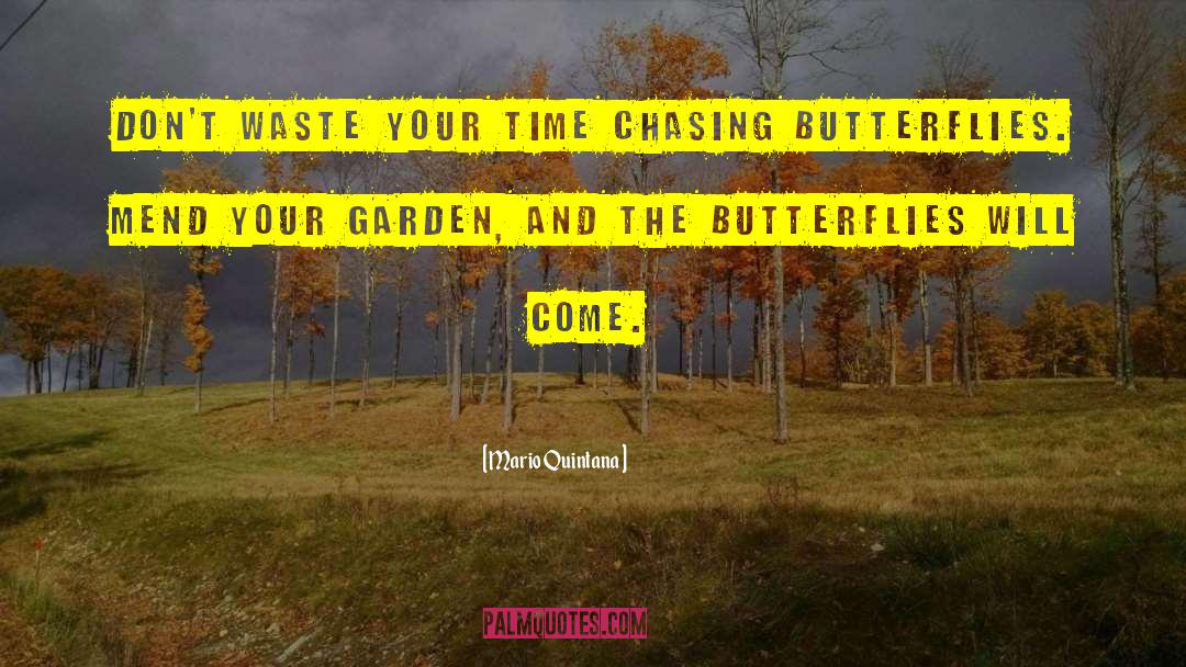 Chasing Butterflies quotes by Mario Quintana