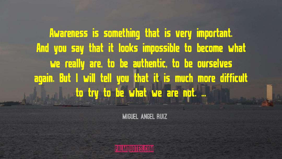 Chasing Impossible quotes by Miguel Angel Ruiz