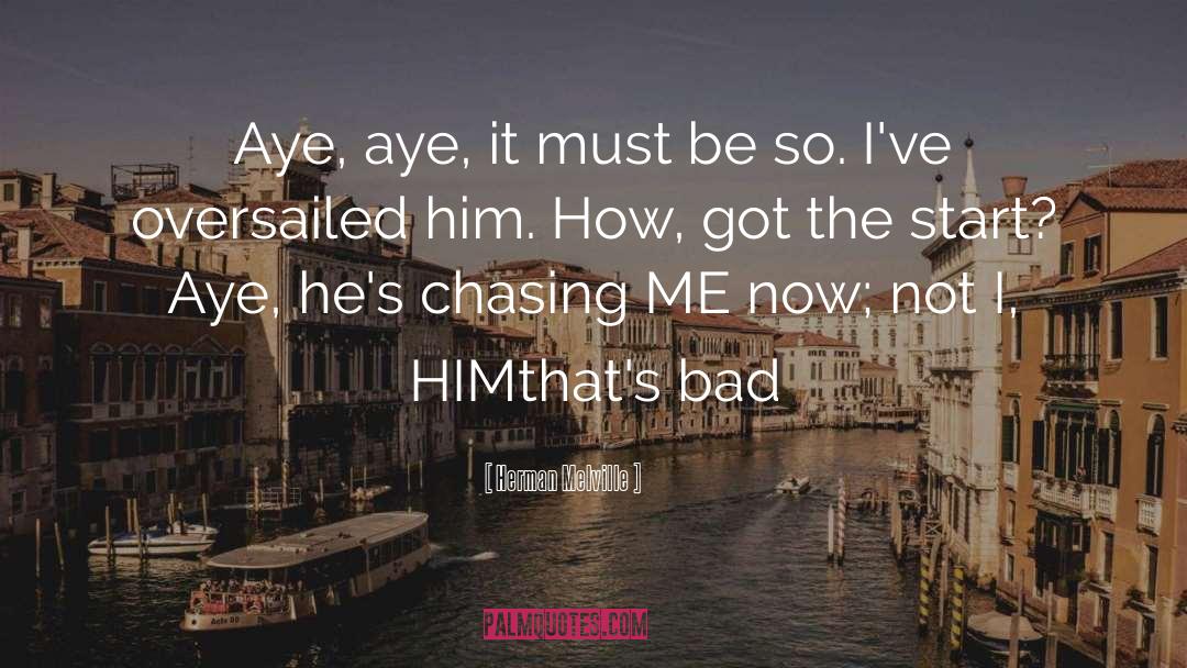 Chasing Me quotes by Herman Melville