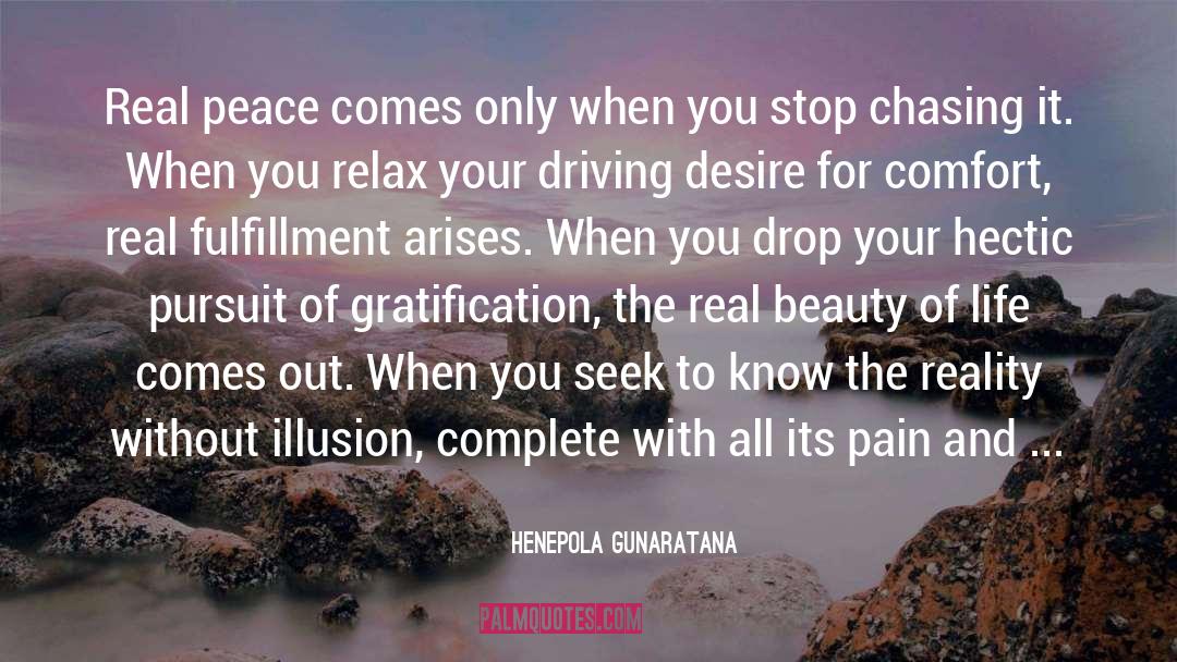 Chasing quotes by Henepola Gunaratana