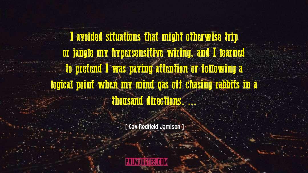 Chasing Rabbits quotes by Kay Redfield Jamison