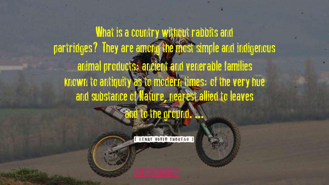 Chasing Rabbits quotes by Henry David Thoreau