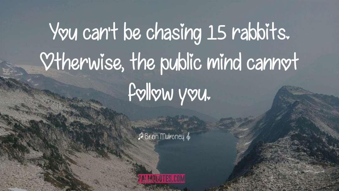 Chasing Rabbits quotes by Brian Mulroney