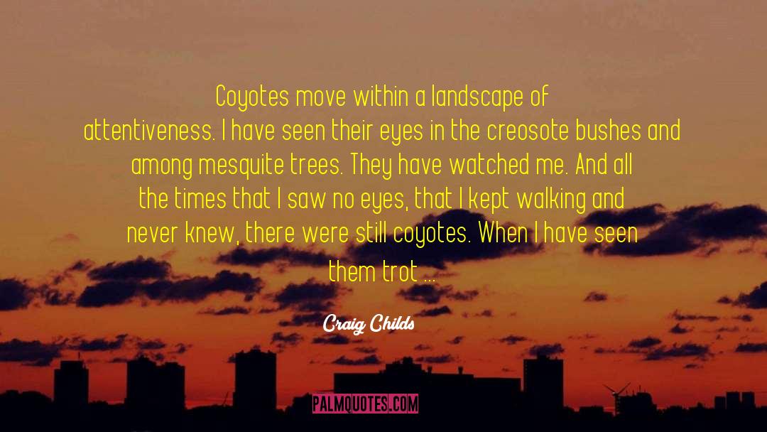 Chasing The Moment quotes by Craig Childs