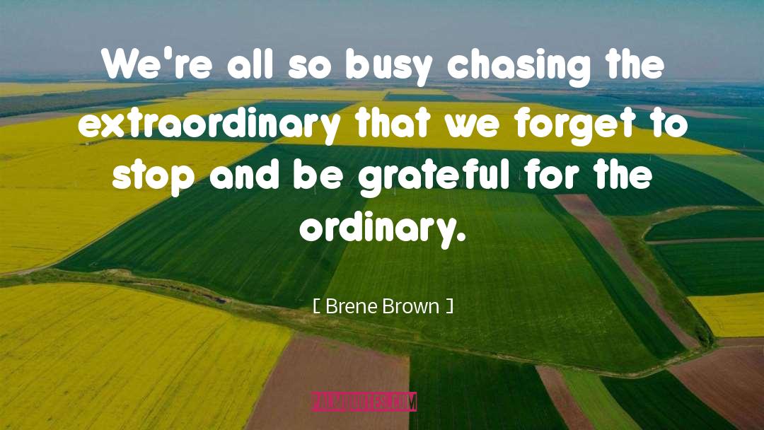 Chasing Trains quotes by Brene Brown