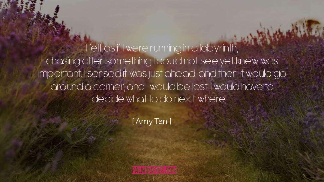 Chasing Trains quotes by Amy Tan