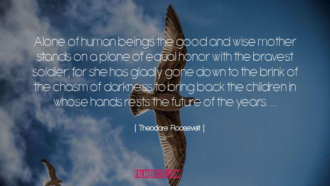 Chasm quotes by Theodore Roosevelt