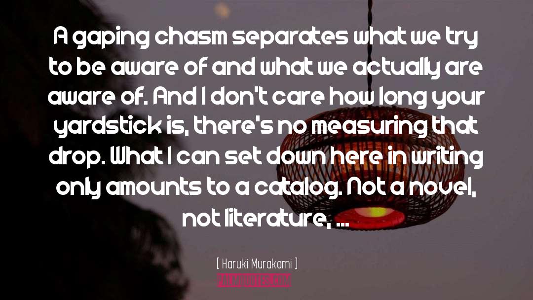 Chasm quotes by Haruki Murakami