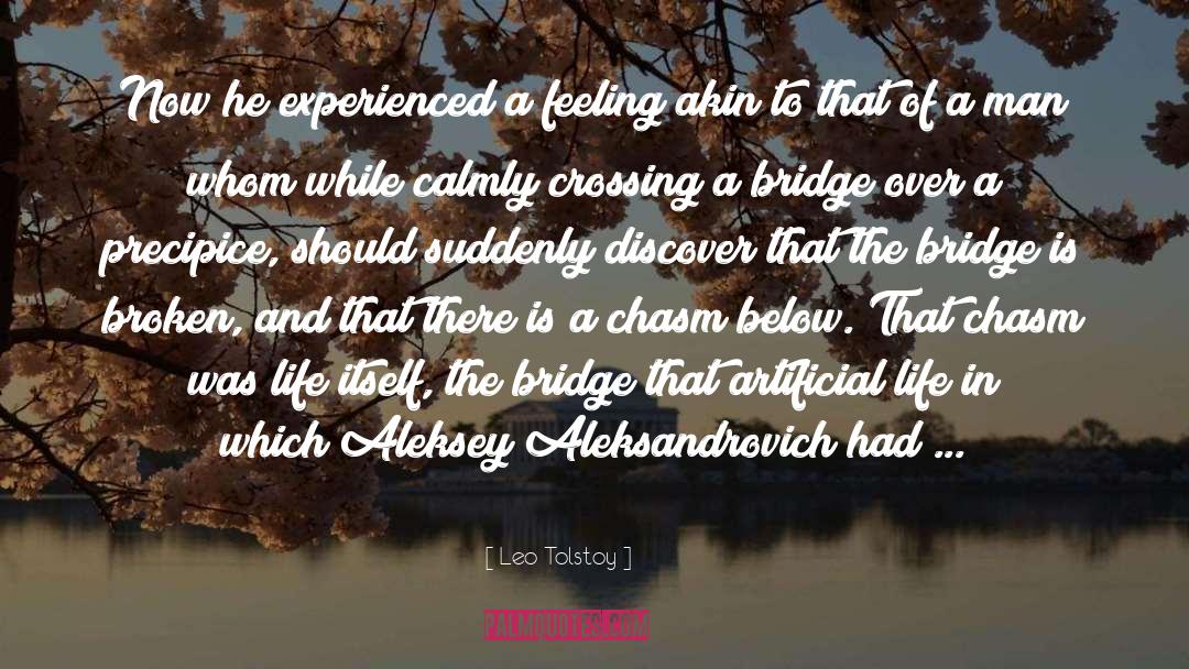 Chasm quotes by Leo Tolstoy