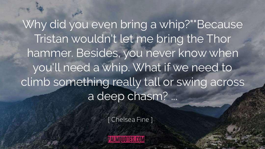 Chasm quotes by Chelsea Fine