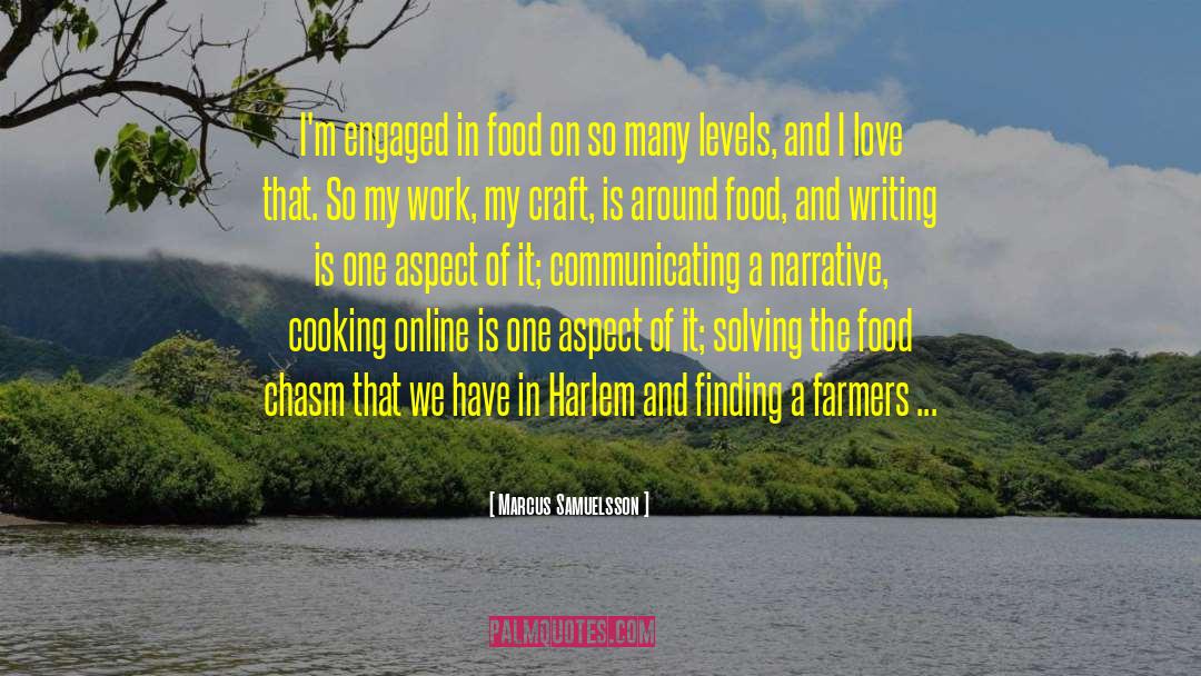 Chasm quotes by Marcus Samuelsson