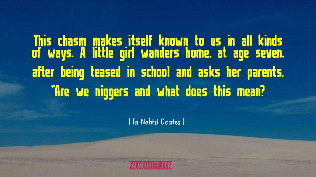 Chasm quotes by Ta-Nehisi Coates