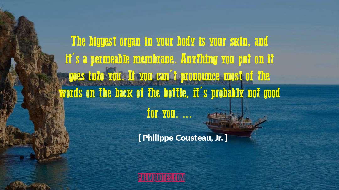 Chasteneth Pronounce quotes by Philippe Cousteau, Jr.