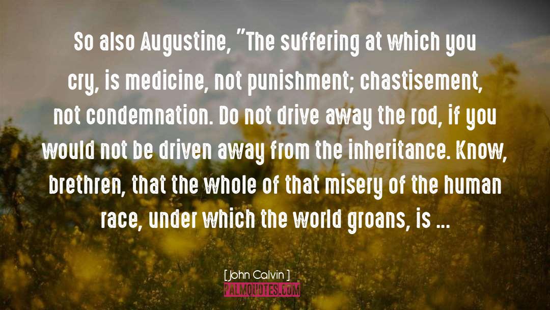 Chastisement quotes by John Calvin