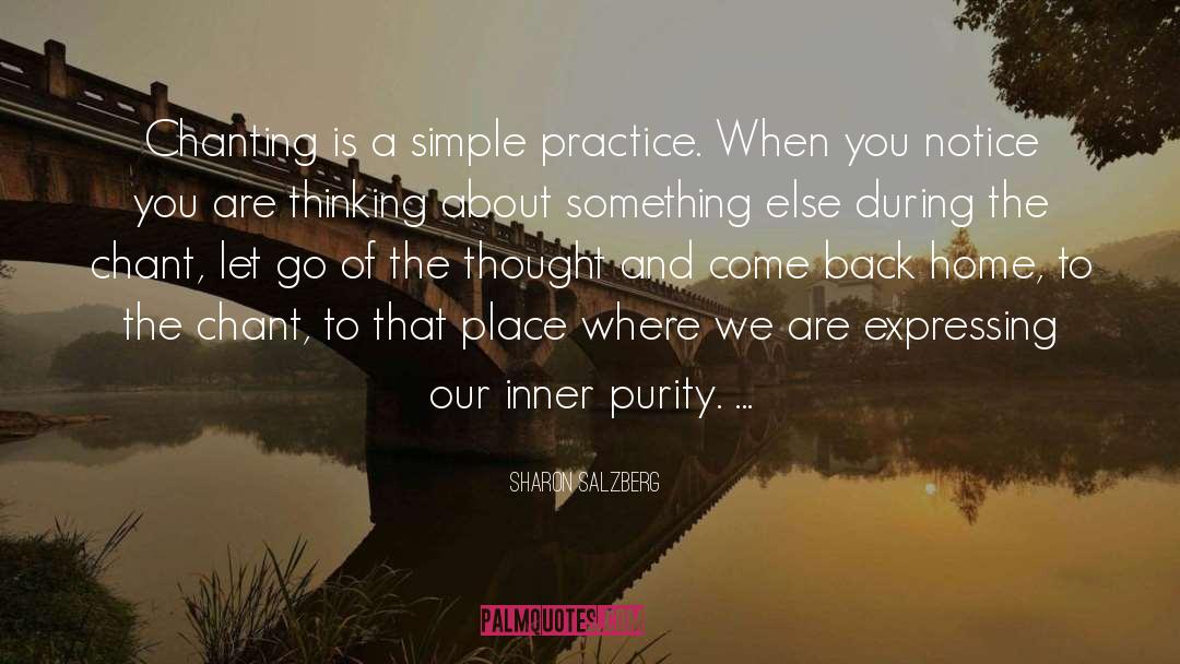 Chastity Purity quotes by Sharon Salzberg