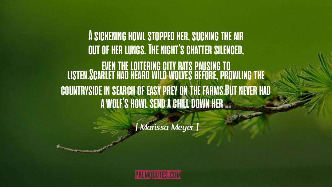 Chatter quotes by Marissa Meyer