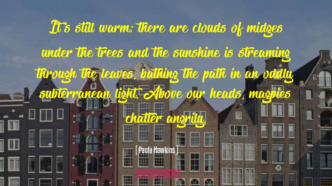 Chatter quotes by Paula Hawkins