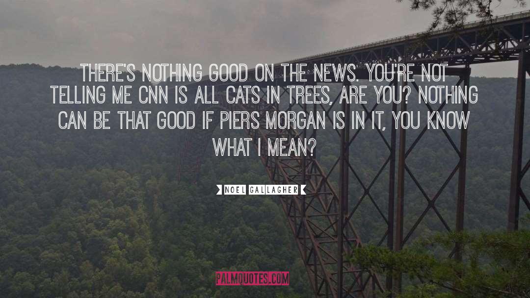 Chatterley Cnn quotes by Noel Gallagher