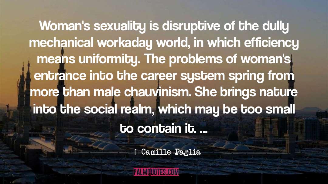 Chauvinism quotes by Camille Paglia