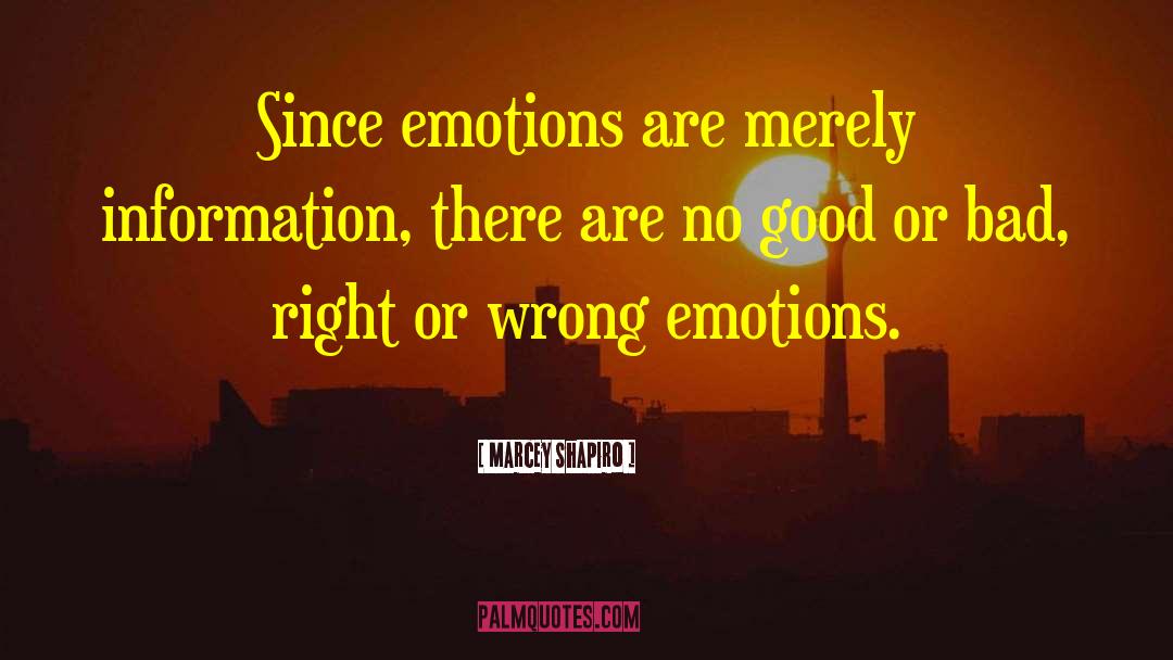 Cheap Emotions quotes by Marcey Shapiro