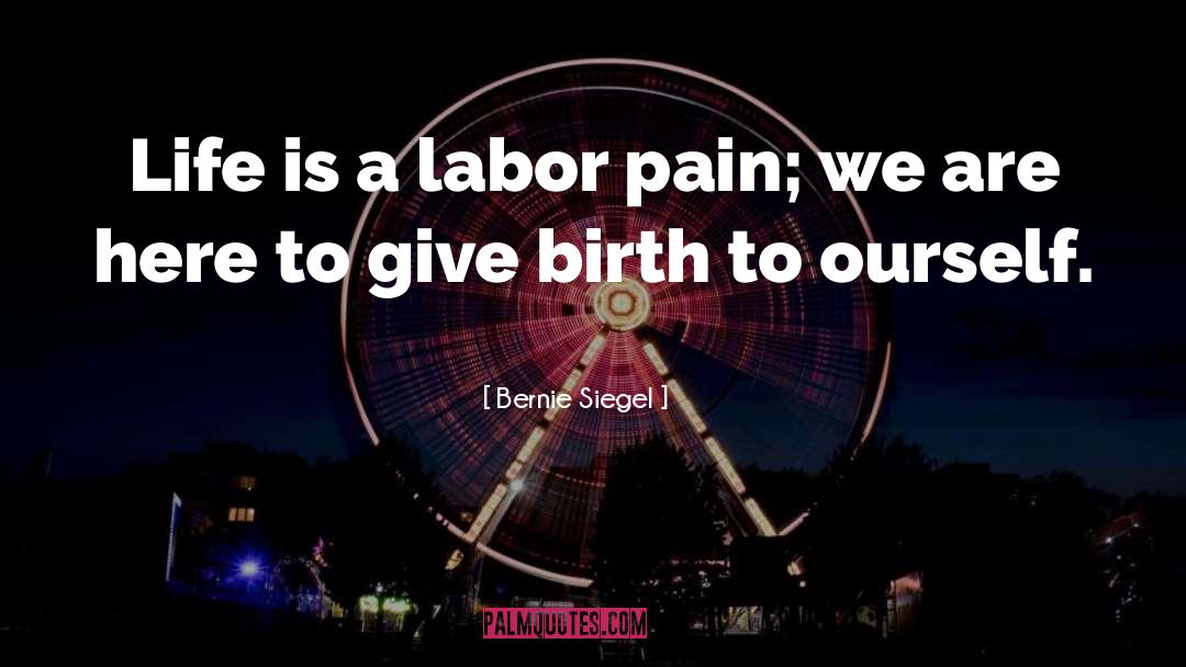 Cheap Labor quotes by Bernie Siegel