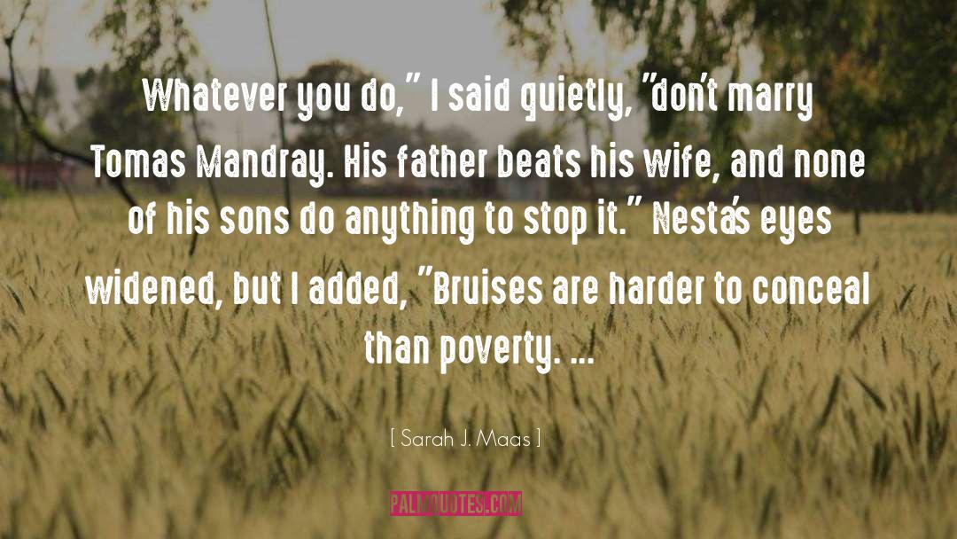 Cheater Blames Wife quotes by Sarah J. Maas