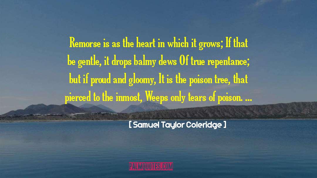Cheaters Remorse quotes by Samuel Taylor Coleridge