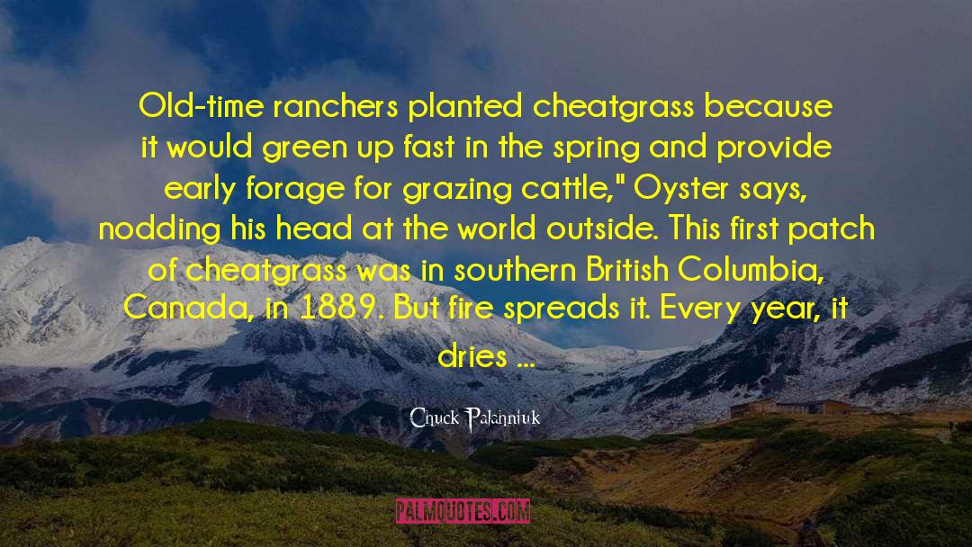 Cheatgrass quotes by Chuck Palahniuk