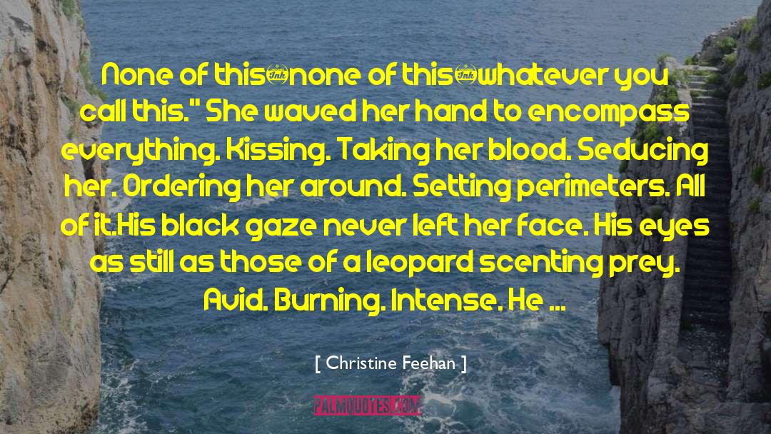 Cheating Justification quotes by Christine Feehan