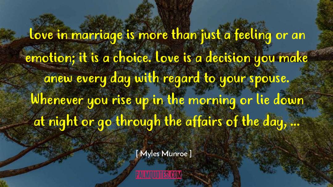 Cheating Spouse quotes by Myles Munroe