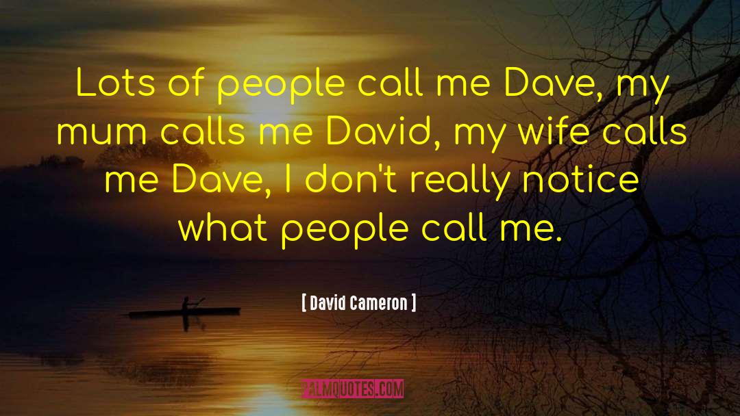 Cheating Wife quotes by David Cameron