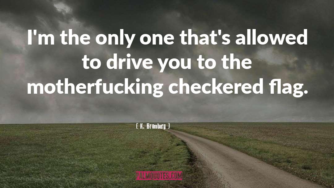 Checkered quotes by K. Bromberg