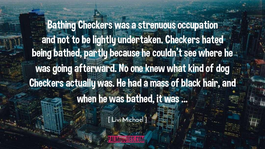 Checkers quotes by Livi Michael