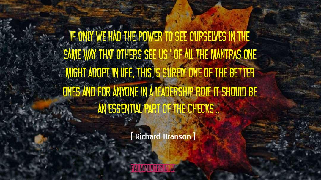 Checks And Balances quotes by Richard Branson
