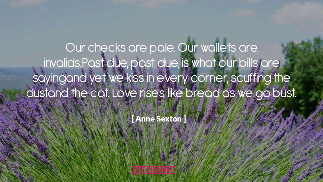 Checks quotes by Anne Sexton