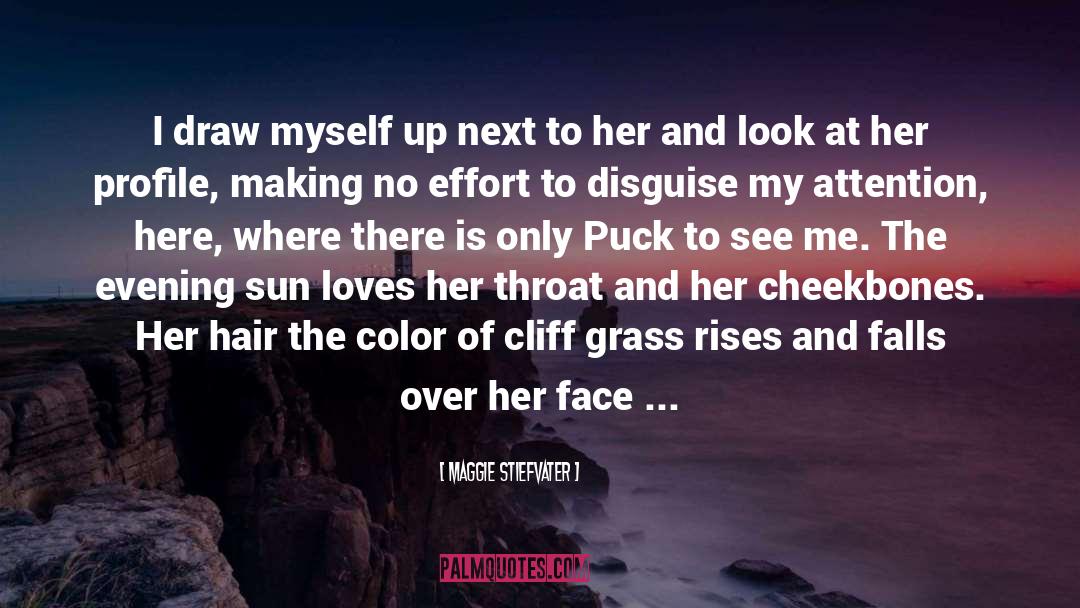 Cheekbones quotes by Maggie Stiefvater