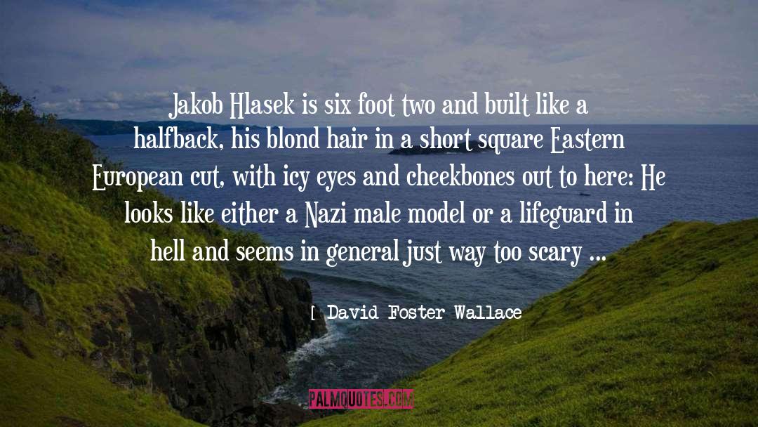 Cheekbones quotes by David Foster Wallace